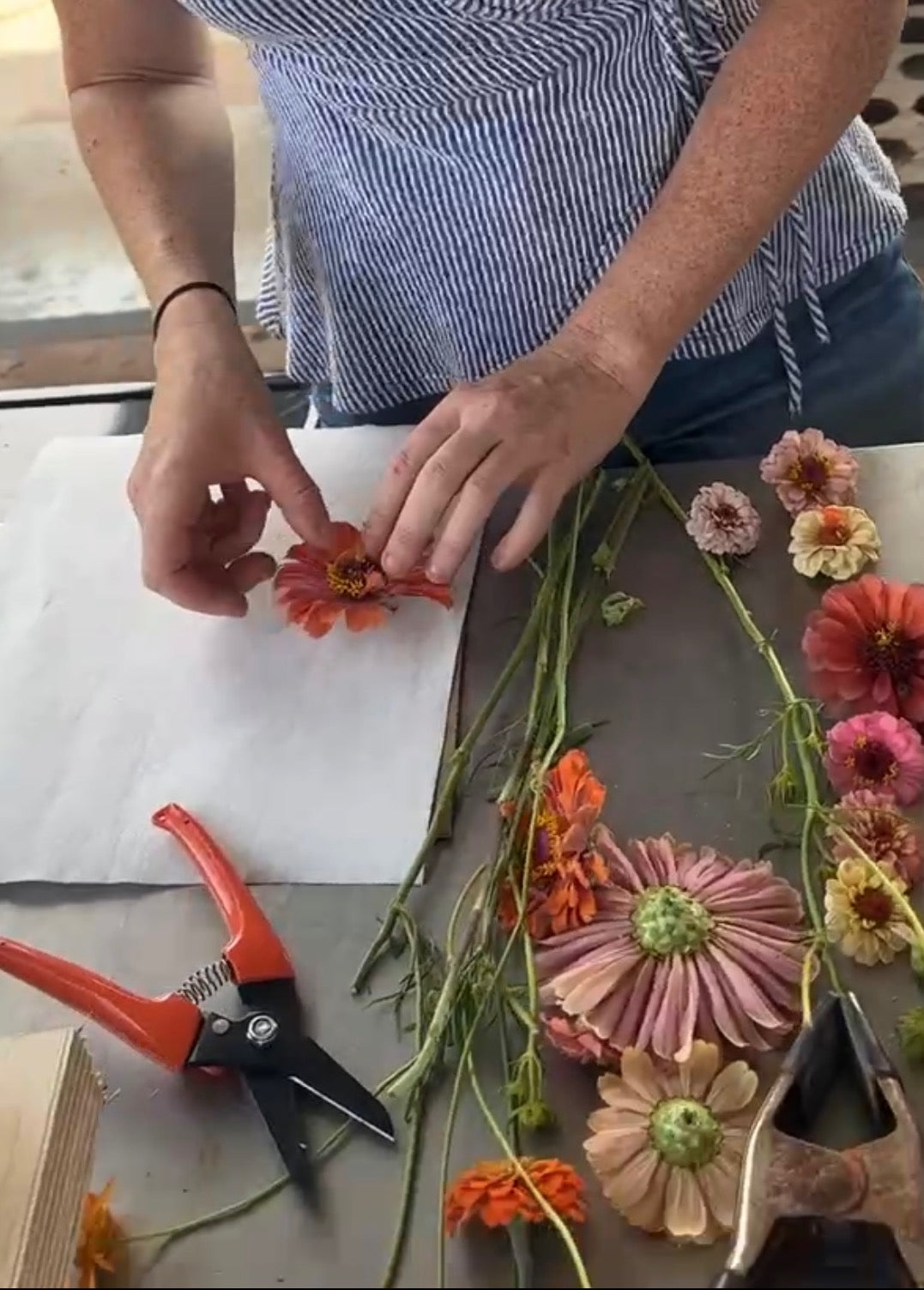 The Art of Flower Pressing