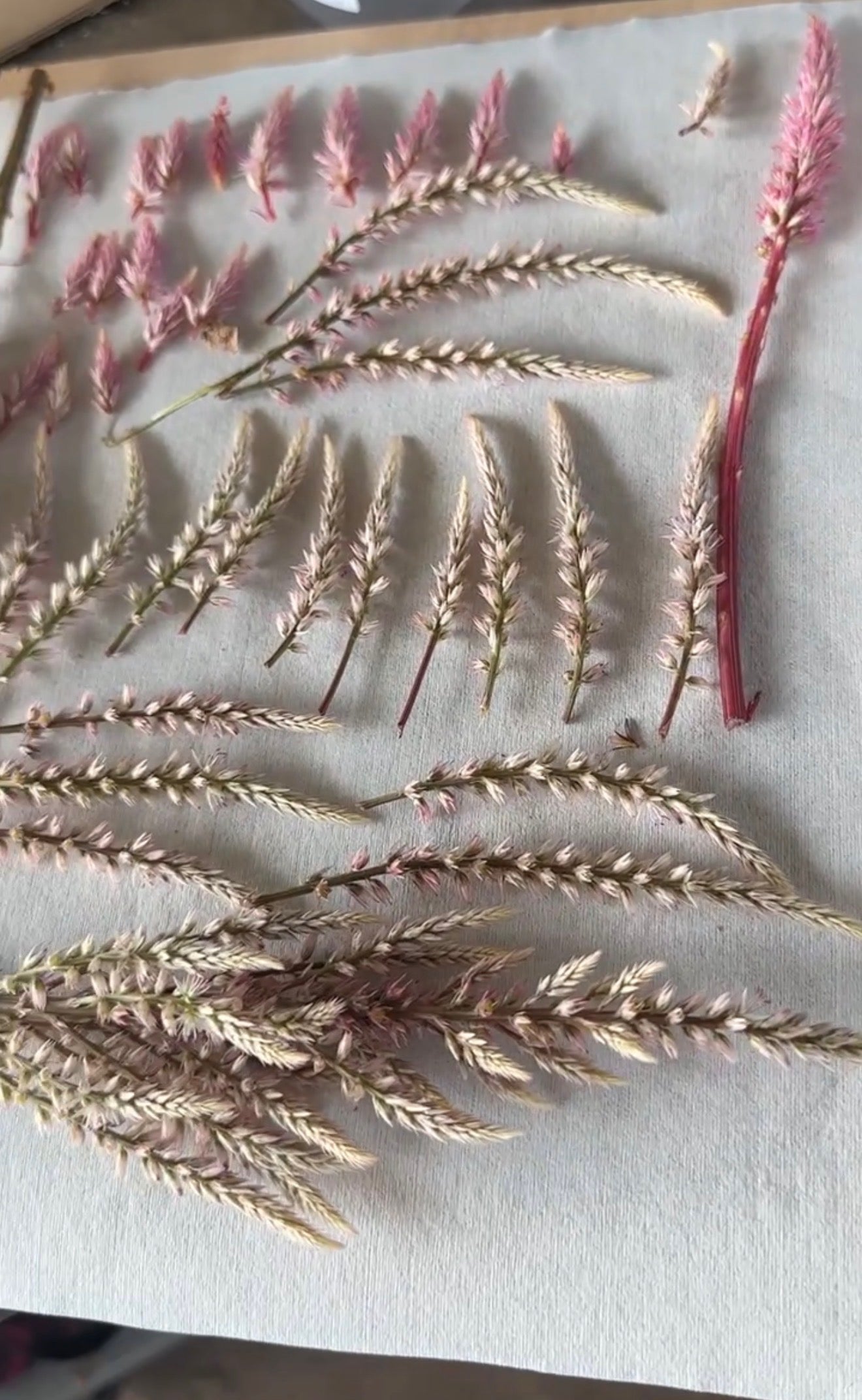 The Art of Flower Pressing