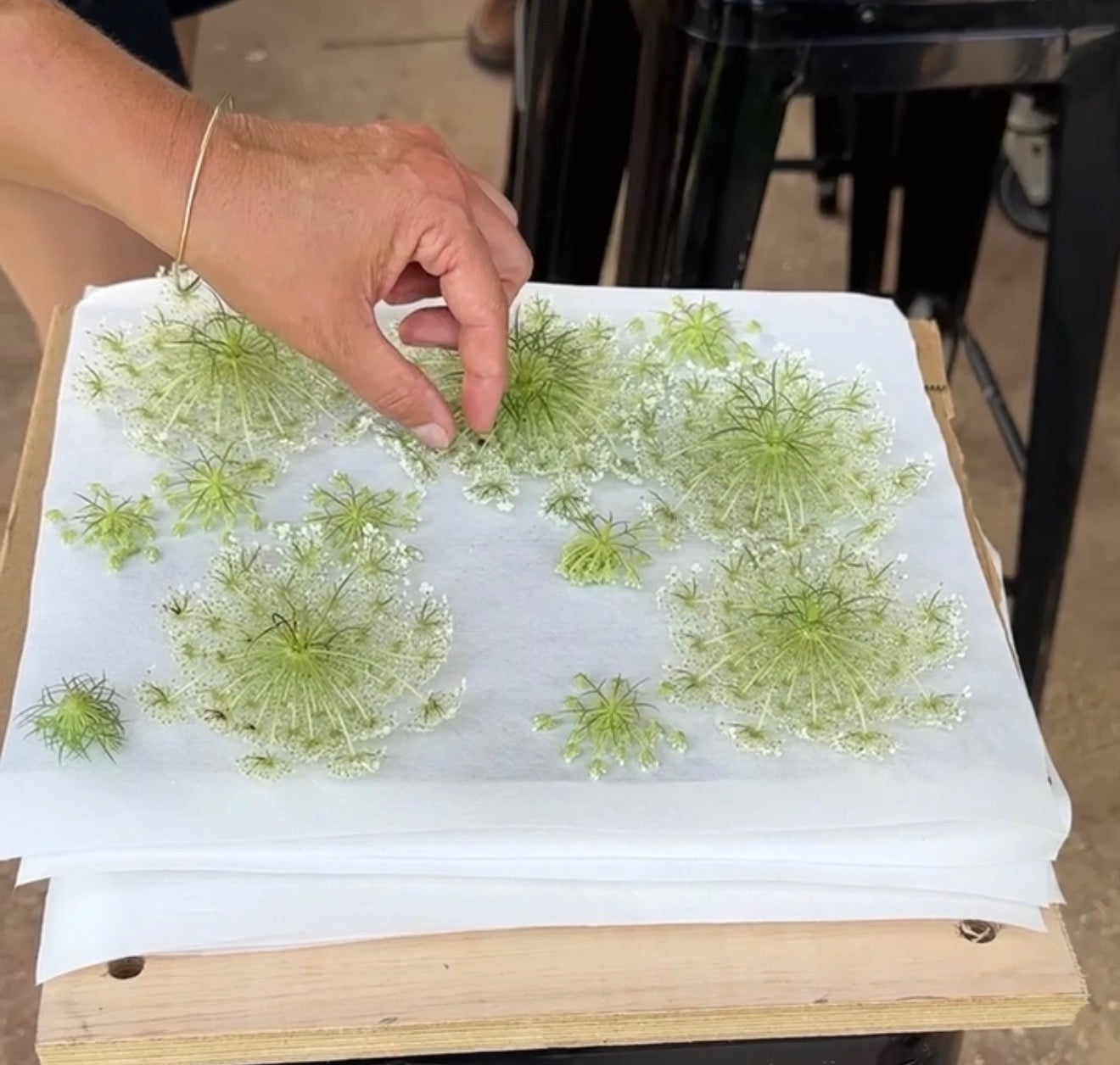 The Art of Flower Pressing