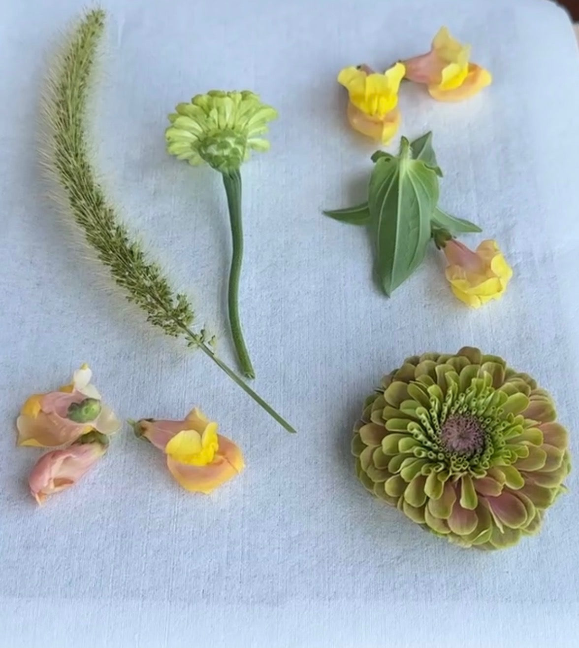 The Art of Flower Pressing
