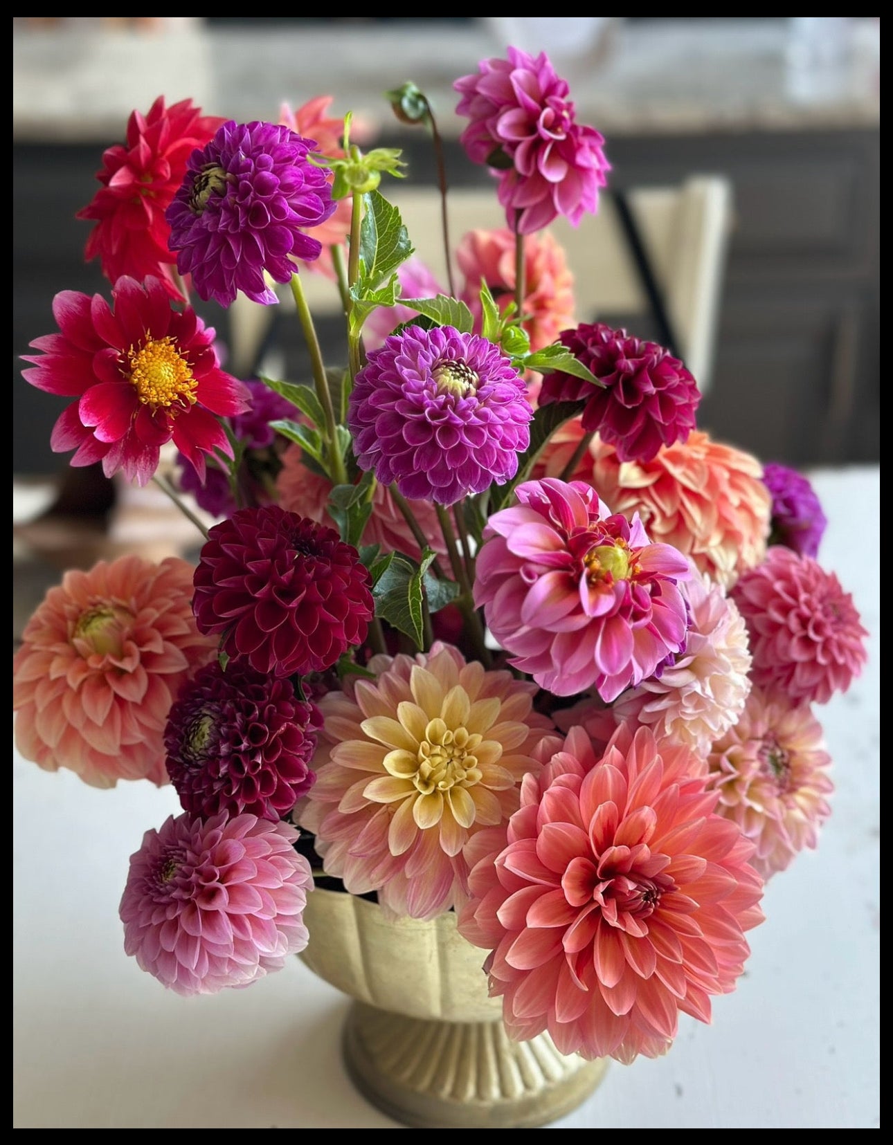 Dahlia U-PICK Event