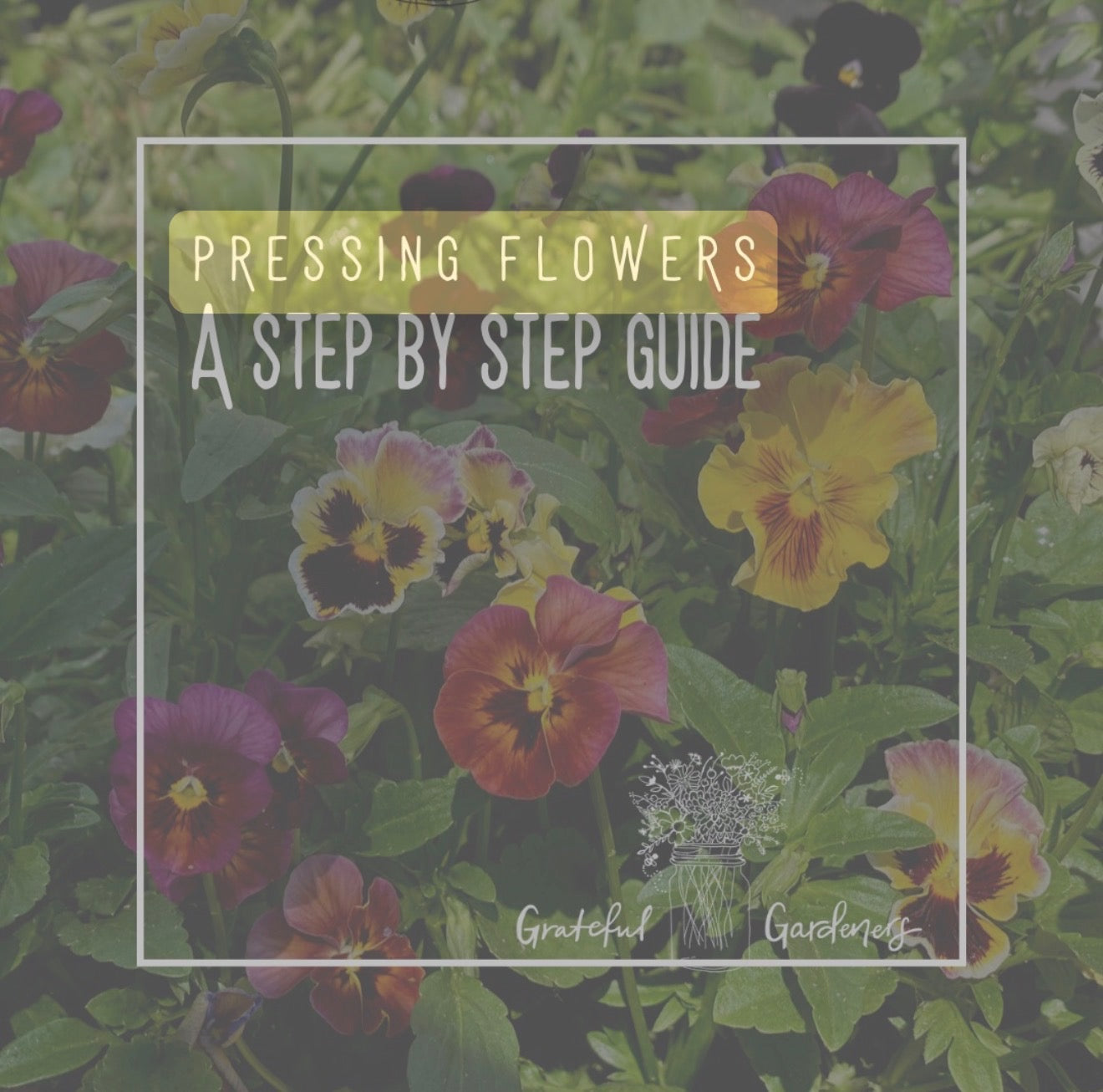 The Art of Flower Pressing