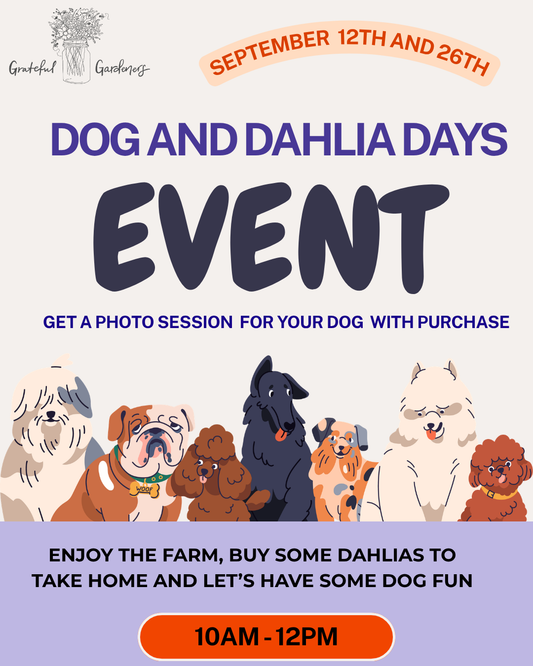DOG AND DAHLIA DAYS EVENT