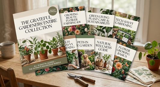 The Ultimate Knowledge Bundle