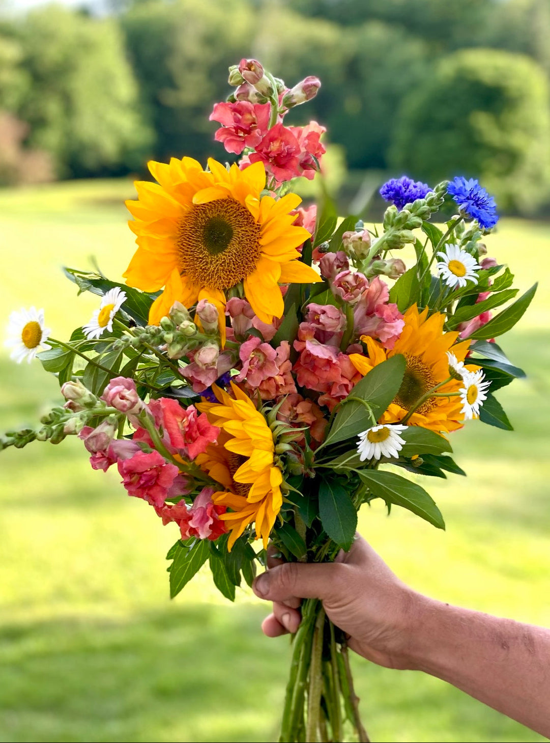 Bouquet of colorful flowers held by a hand with a blurred green background